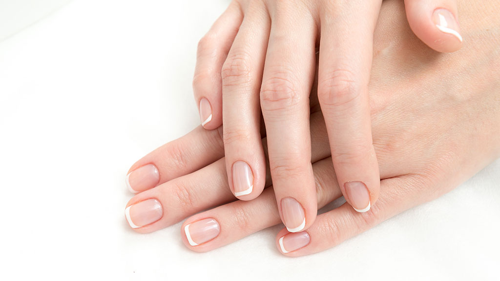 Claresa French Manicure – elegant natural nails with nude and white gel polish