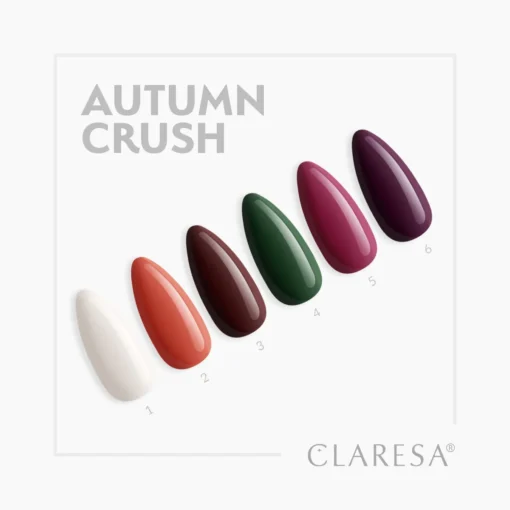Claresa AUTUMN CRUSH Limited Collection 6 x 5 g - Image 2